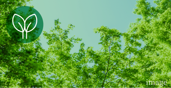 環境に配慮：地球にやさしい低炭素社会の実現に向けて寄与