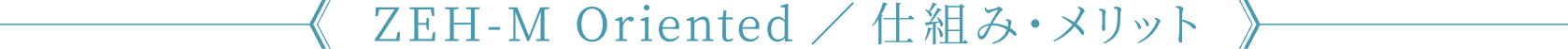 ZEH-M Oriented