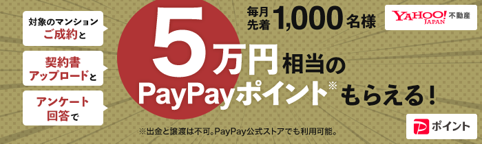 PayPayポイントもらえる