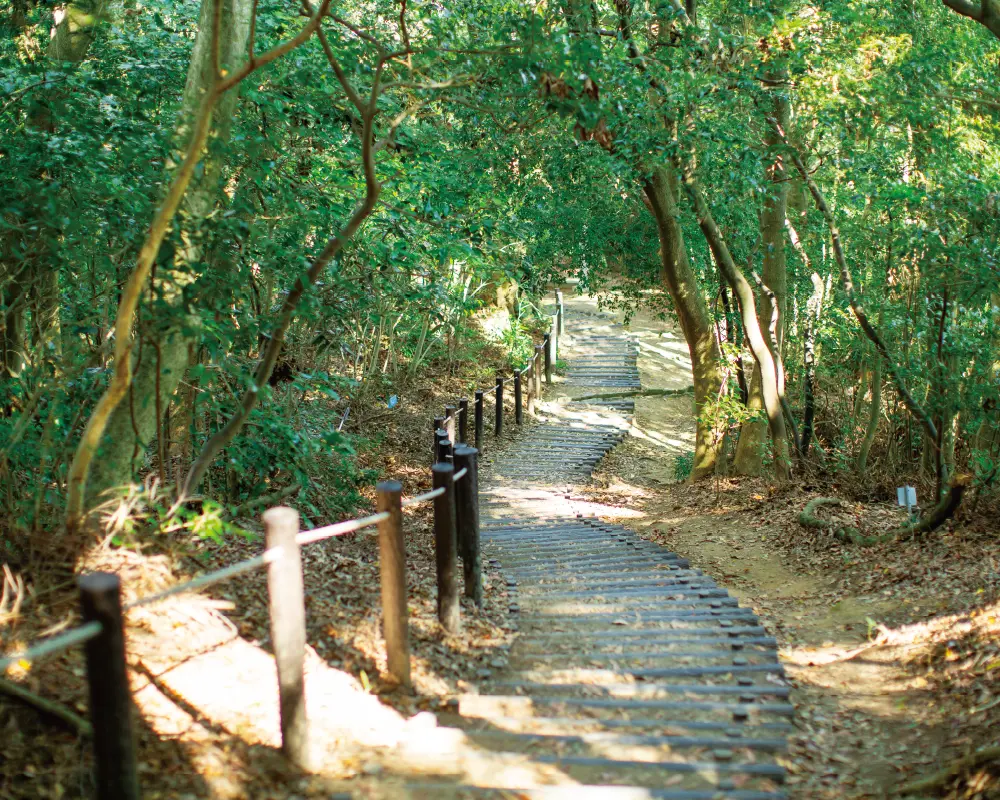 天拝山歴史自然公園
