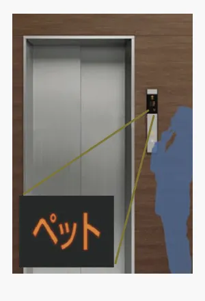ペット同乗運転