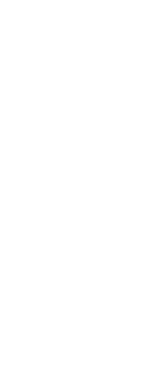 伝統 - TRADITIONAL STYLE -