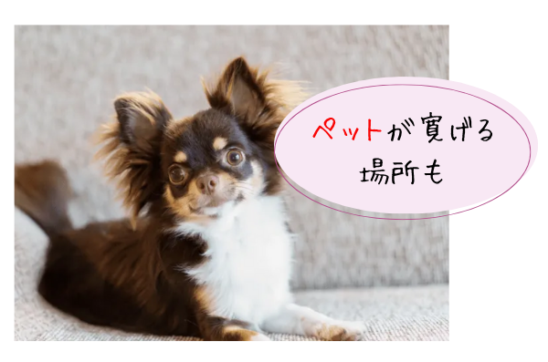 inu