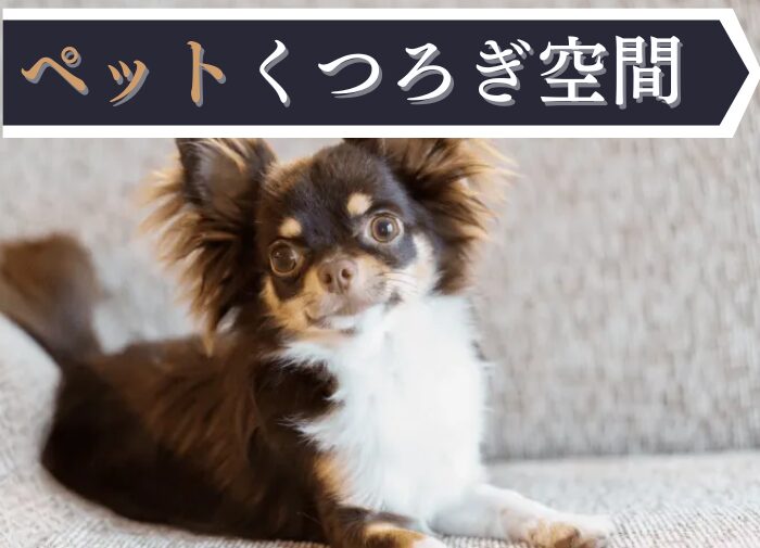 防府LP案5.