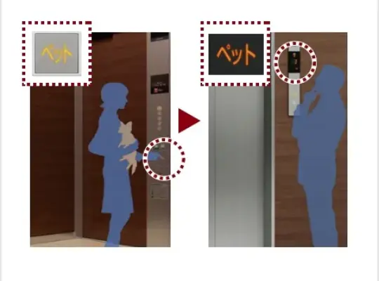 ペット同乗運転