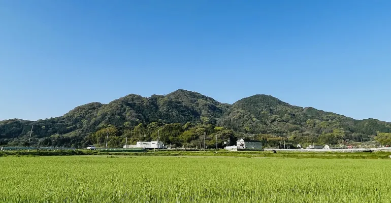 立花山