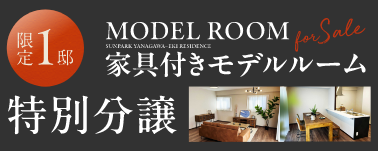 特別分譲開始
